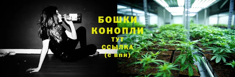 продажа наркотиков  Лянтор  Бошки Шишки THC 21% 